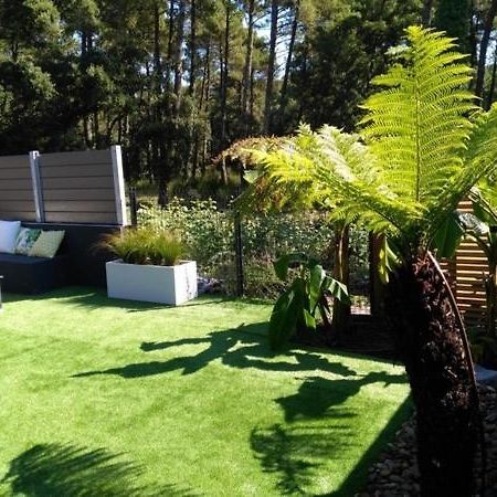Villa Patio Terrasse Privative Ocean 10 Min A Pied 塞尼奥斯 外观 照片